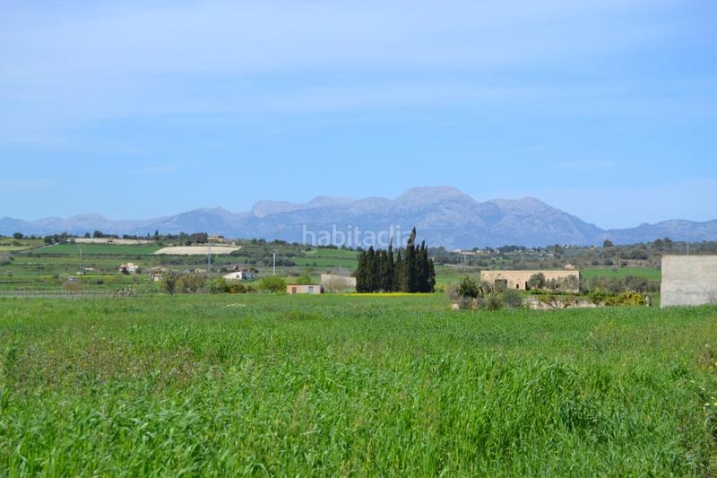 Foto a45d93f1-2c57-4d9a-a86f-971975f91a03. Wohngrundstück in polígono 4 parcela 226 in Santa Margalida poble Santa Margalida