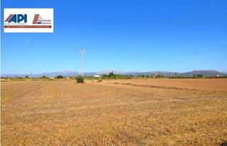 Masia  Polígono 10 parcela 163. Finca rústica con posibilidad de vivienda en  muro