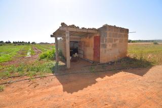 Masia  Polígono 10 parcela 270. Finca rústica con caseta de herramientas en muro