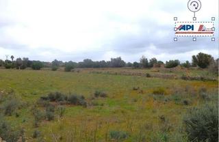 Residential Plot  Polígono polígono 9 parcela 146 son forat. santa margalida. Finca rústica con posibilidad de hacer una vivienda en santa mar