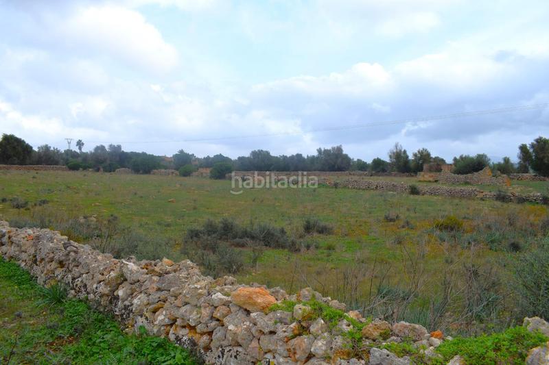 Foto 0afdd326-93b2-41e6-b329-fdbab228b4a6. Terreny residencial a Santa Margalida poble Santa Margalida