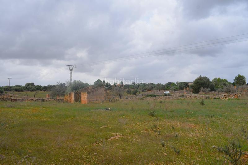 Foto 4f170aa8-083b-4a9c-8001-e2ba20b5f199. Terreny residencial a Santa Margalida poble Santa Margalida