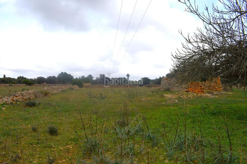 Foto 677d300f-3d8c-4523-8755-7fd0d919891c. Terreny residencial a Santa Margalida poble Santa Margalida