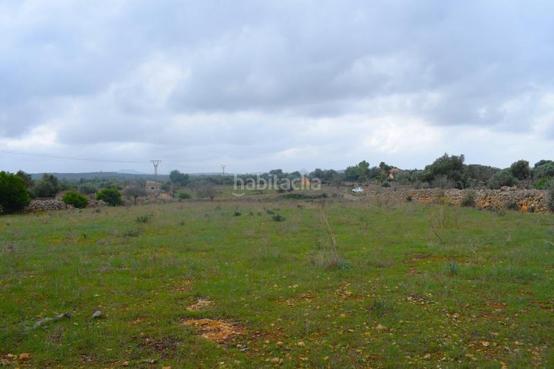 Foto 9402c14a-568b-4928-aa66-378d44316dbb. Terreny residencial a Santa Margalida poble Santa Margalida