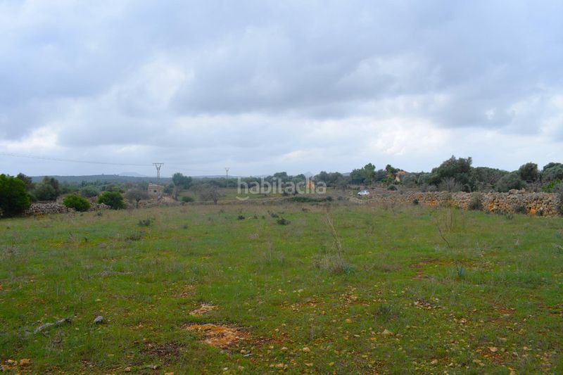 Foto 968577ff-a307-42d7-8302-d795c0f9e9be. Terreny residencial a Santa Margalida poble Santa Margalida