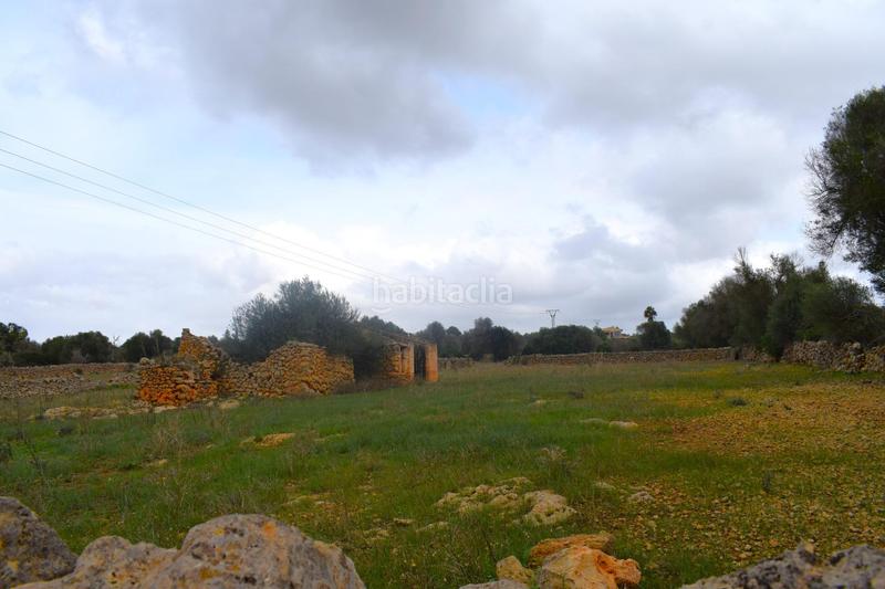 Foto c262df71-2882-4edc-970b-cdcdeb7ed429. Terreny residencial a Santa Margalida poble Santa Margalida