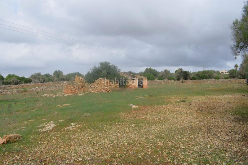 Foto de1ef7c3-e16d-492c-9c00-b2952dfb8052. Terreny residencial a Santa Margalida poble Santa Margalida