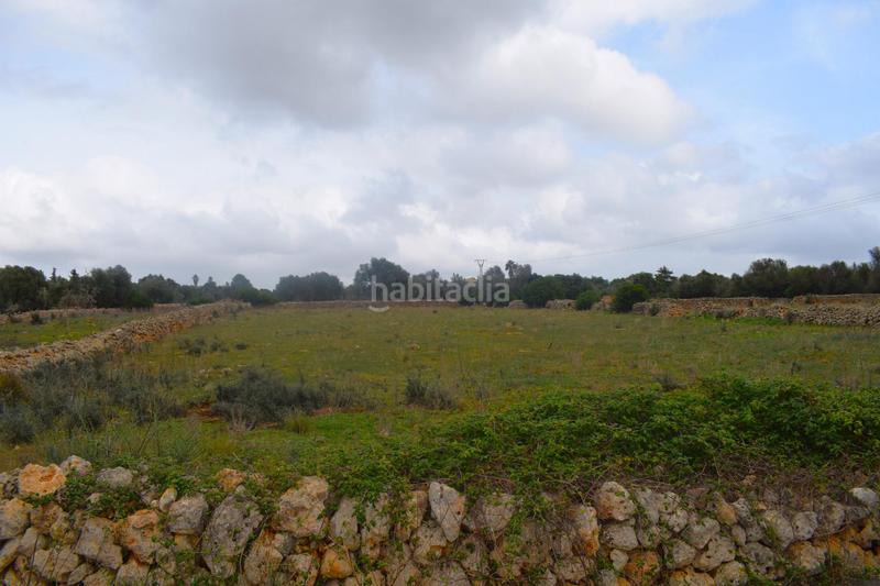 Foto e147ca84-9b26-4015-8fc9-0e38fed86089. Terreny residencial a Santa Margalida poble Santa Margalida