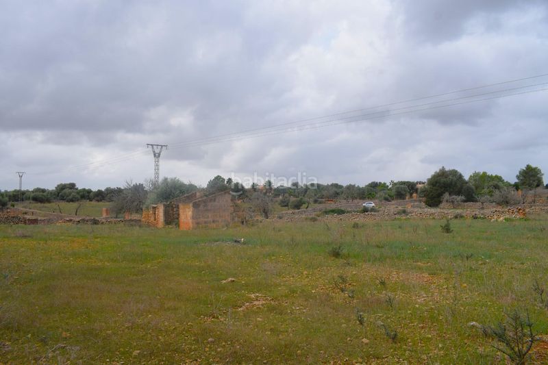 Foto fc1131f0-4b47-4fc7-b216-26a3a867e2e6. Terreny residencial a Santa Margalida poble Santa Margalida