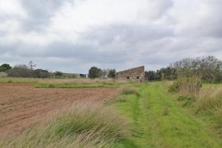 Casa  Polígono 9. Casa de campo para reformar en muro.