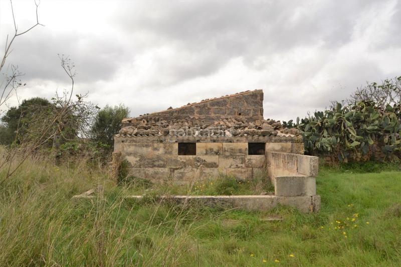 Foto a976a74c-2587-4819-9901-cdf4858bbc08. Casa in Muro