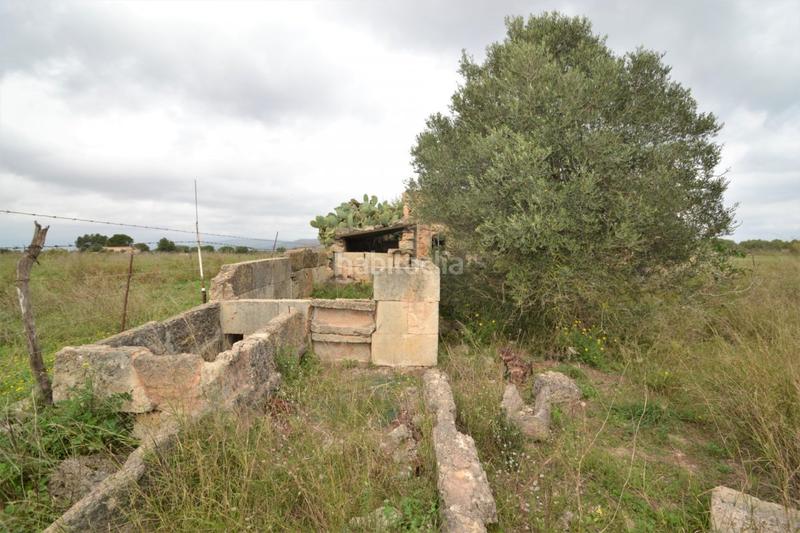 Foto c6804ebc-2467-405b-9434-3facd18cd363. Casa in Muro