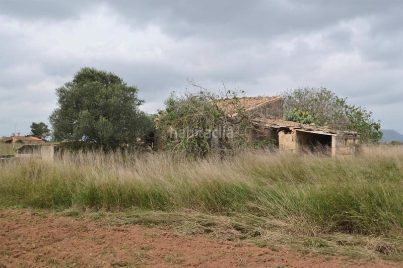 Foto dd7e9f95-732c-4e93-9298-ac306c50a745. Casa in Muro