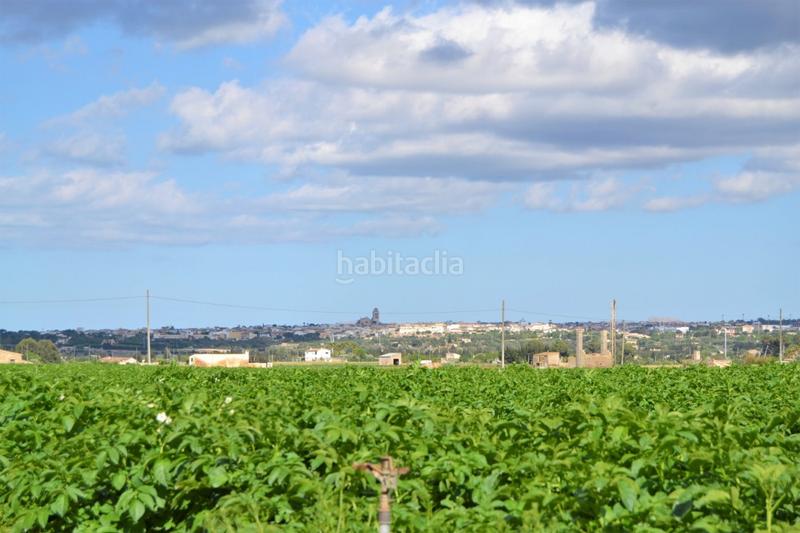 Foto 0bf598ce-f32c-4abf-9258-007b1f5a9771. Casale in Llubí