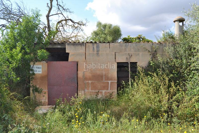 Foto 9b879cd2-f71d-40c9-9959-29da65082b2c. Casale in Llubí