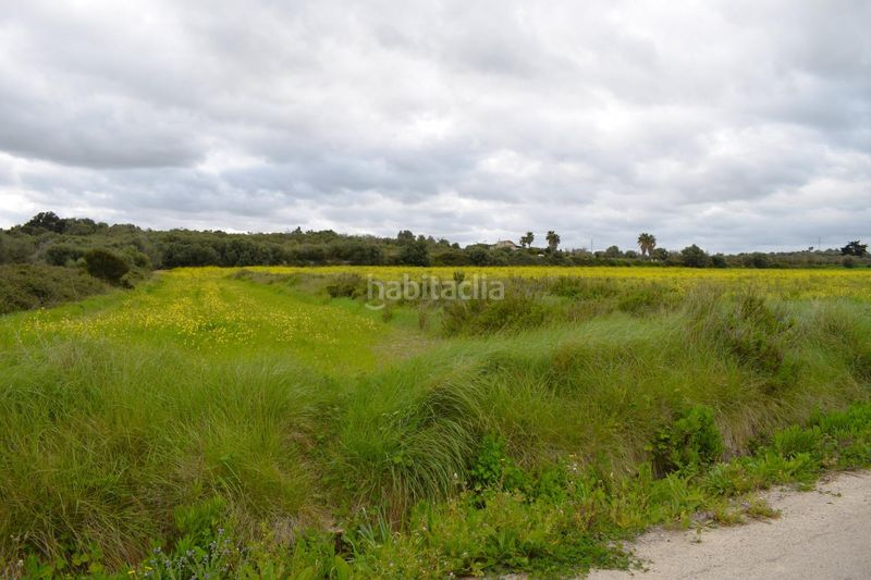 Foto 028291b3-fc37-4262-9f92-f250a18f0416. Masia a Muro