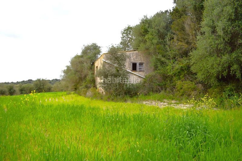 Foto 098e8a6c-8b6e-47ae-b6ff-fc60de68a255. Masia a Muro