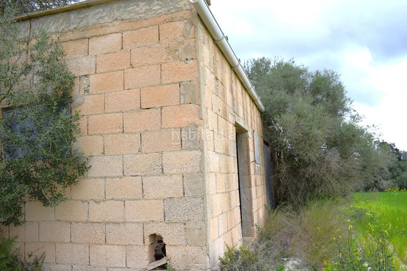 Foto 0a01904c-6363-4c15-9ce7-b79116f4cb2e. Masia a Muro