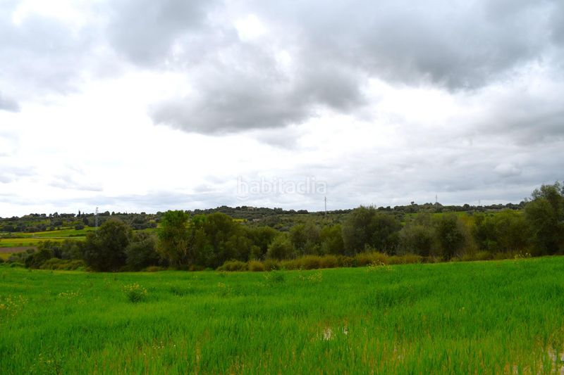 Foto 0d0993d4-7280-4959-915d-5030828e4be9. Masia a Muro