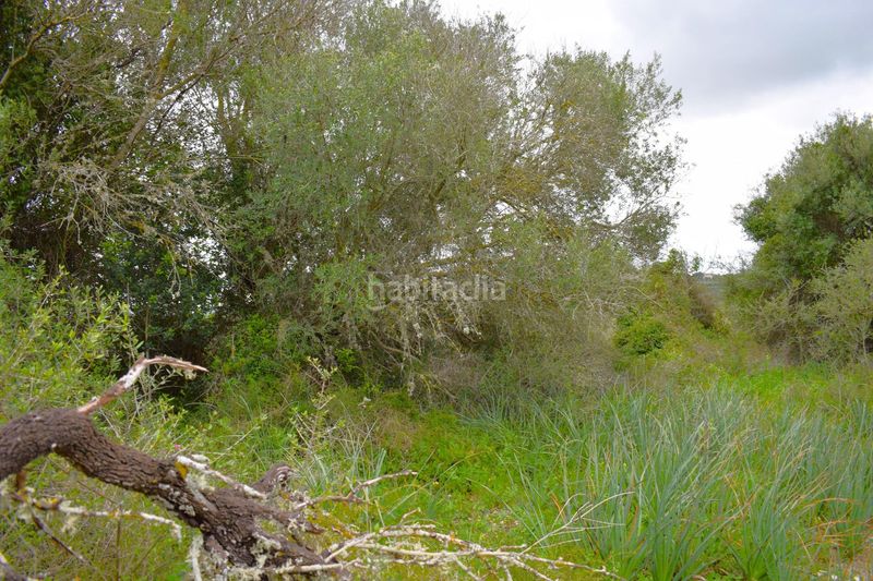 Foto 0dd01e74-bbe7-40c0-b598-f7ce5734442b. Masia a Muro