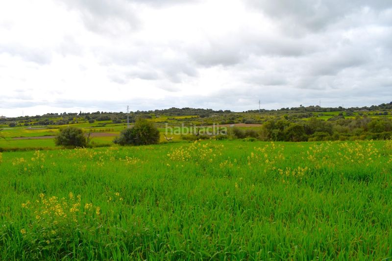 Foto 2195a7e1-4e6b-41e2-9a83-42875a687592. Masia a Muro