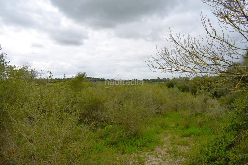 Foto 2d2a495d-f5d7-487d-aeee-71f62a5f9e0f. Masia a Muro