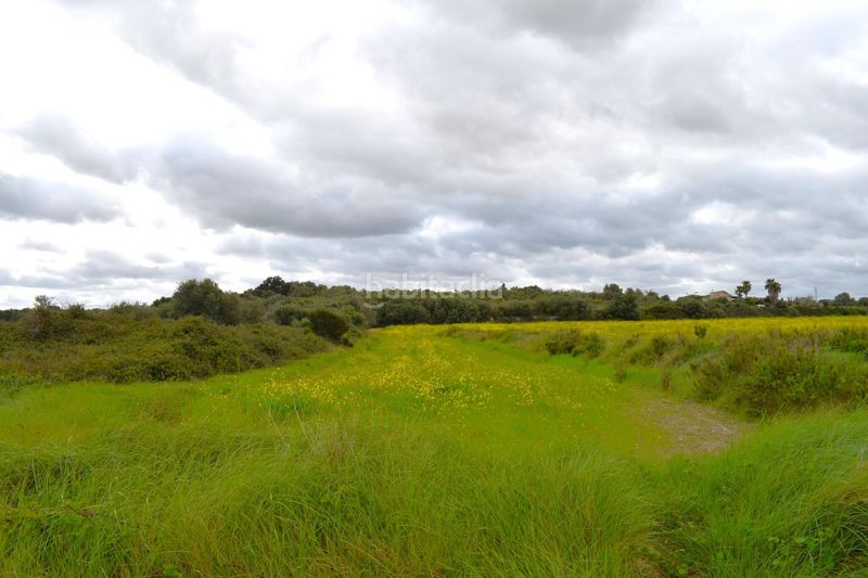 Foto 2f7fac7a-8f8f-47e0-b937-08878e6db300. Masia a Muro