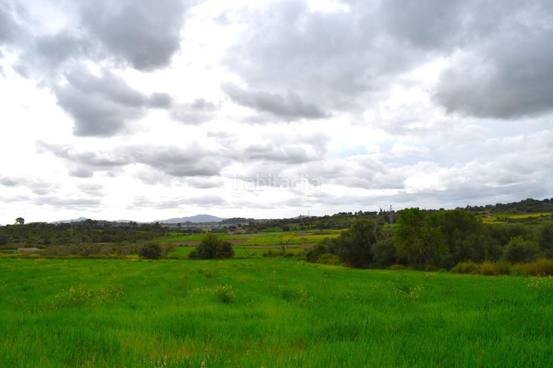 Foto 38bf048b-93d4-4185-87ed-0b926c409009. Masia a Muro