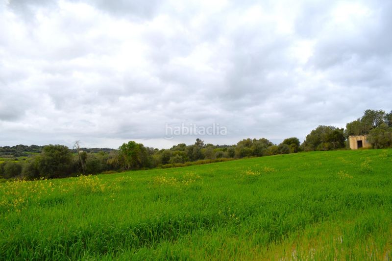 Foto 39a546e7-889c-4b0c-bb16-d8a1370bcadf. Masia a Muro