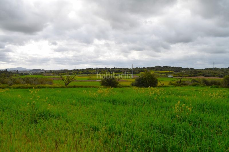 Foto 3d53b4d4-204b-442f-9f3c-f056af8fa051. Masia a Muro