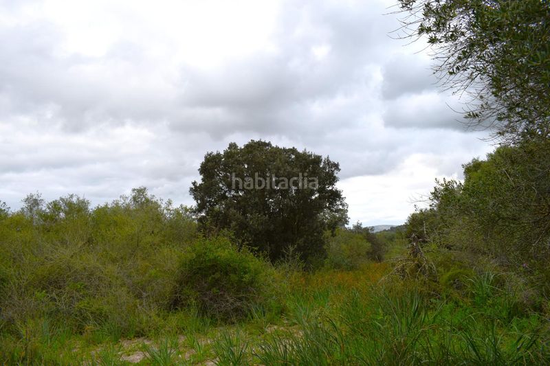 Foto 46efeff3-67ed-4978-b298-3730a23f002e. Masia a Muro