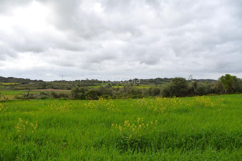 Foto 58fed58b-8635-4a7e-ad40-3ed84bc81865. Masia a Muro