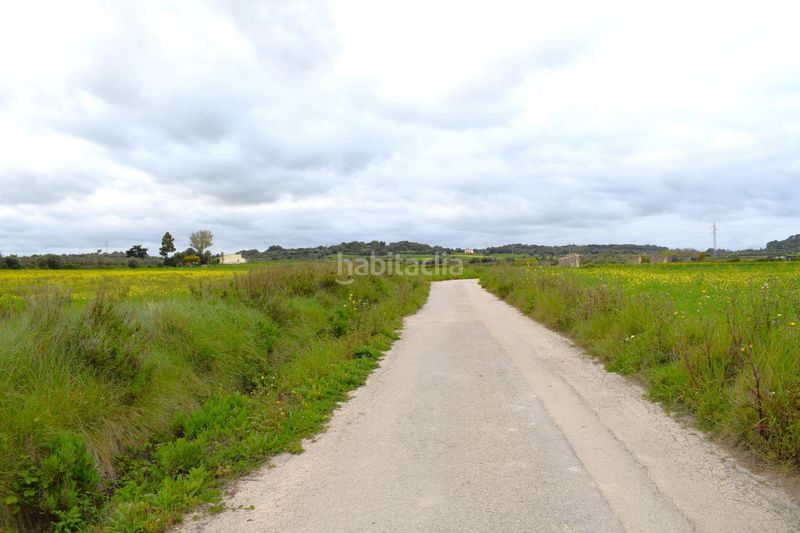 Foto 5c84bc1f-7dd4-4ad0-891d-8e203d6d65f3. Masia a Muro