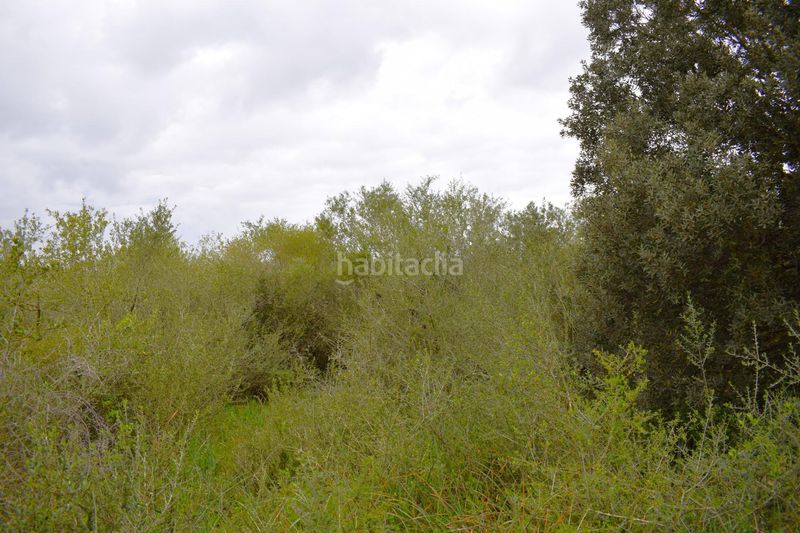 Foto 91faae38-c7f4-489e-8350-03edab3c8bd6. Masia a Muro