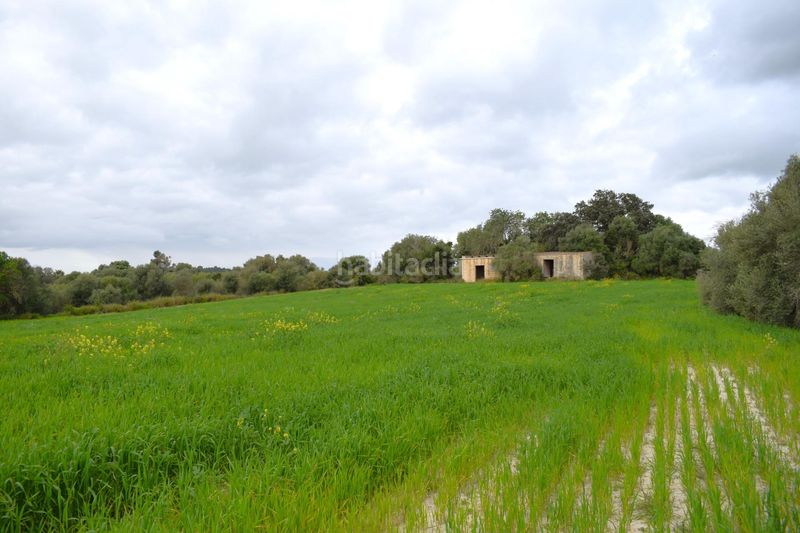 Foto 9971e47d-5e56-4b2f-9aa3-b2e0dd67594b. Masia a Muro