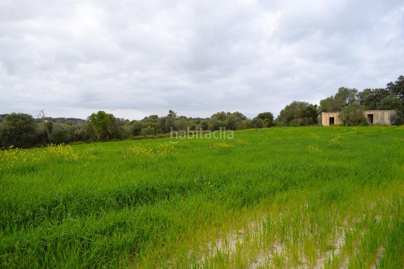 Foto 9fc60290-e6f9-495e-b54e-c1279fdb94d4. Masia a Muro