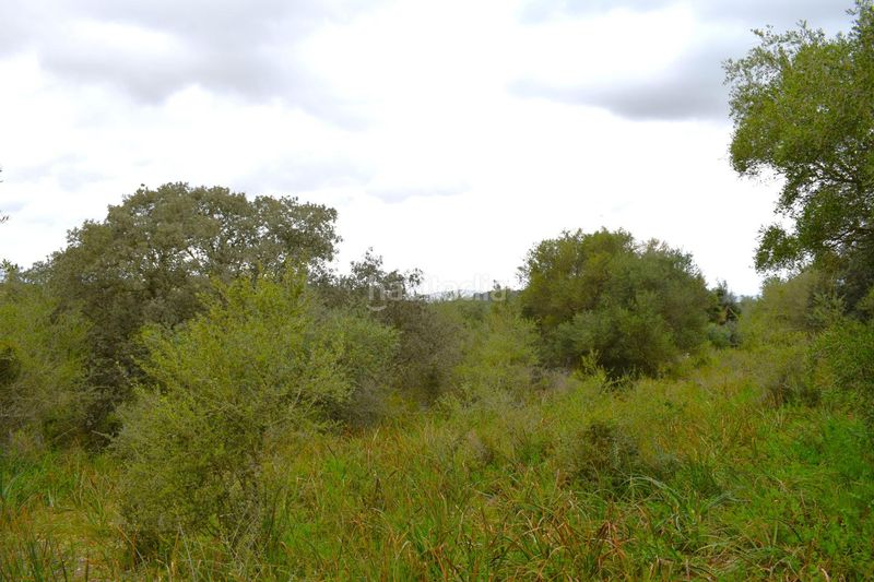 Foto b0534544-e857-4a5b-9e71-e130911de533. Masia a Muro