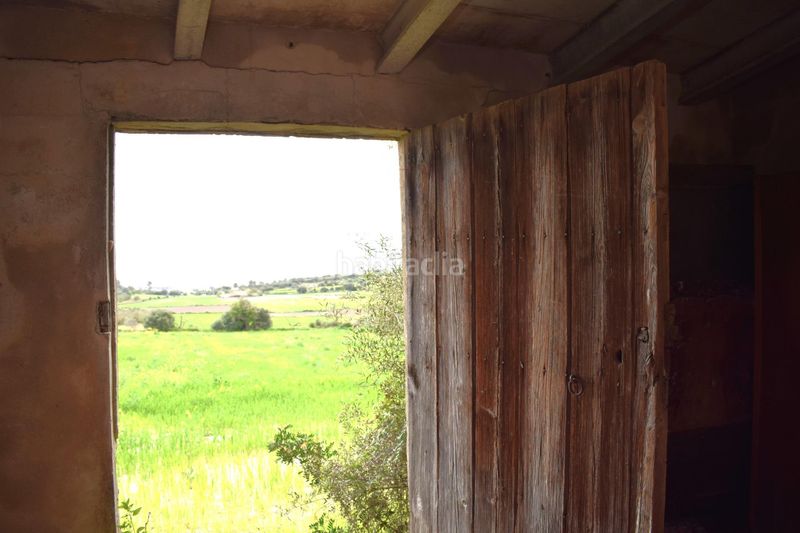 Foto bb9c86ac-3887-45bd-a42c-ea83180d734d. Masia a Muro