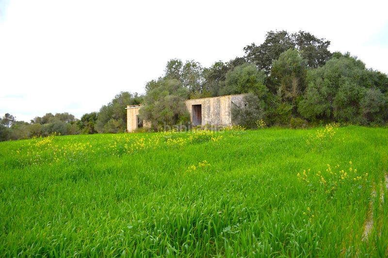 Foto cbd5aada-eca0-4b24-88cf-6ba94062165c. Masia a Muro