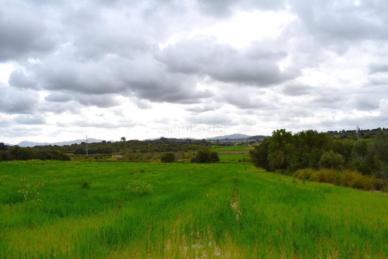 Foto d0a5bbe5-00ea-49dc-b12b-ebce339becee. Masia a Muro