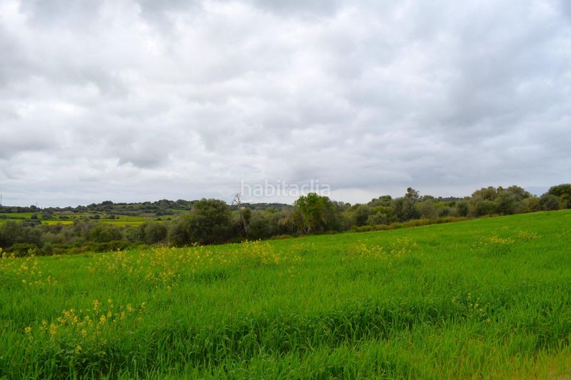 Foto d111d7d4-7c46-4d84-a69b-828725282bc1. Masia a Muro