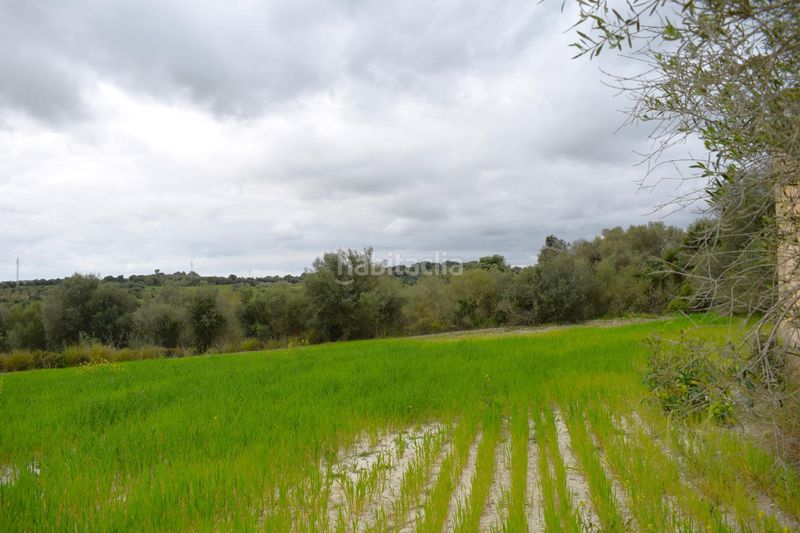 Foto f013a95b-4859-49ad-918f-7730d0c8961d. Masia a Muro