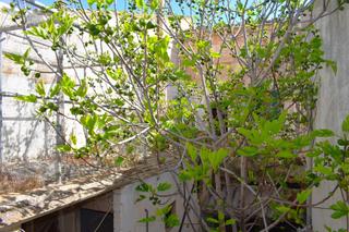 Casa a Calle martirs 68. Casa para reformar con garaje  en muro