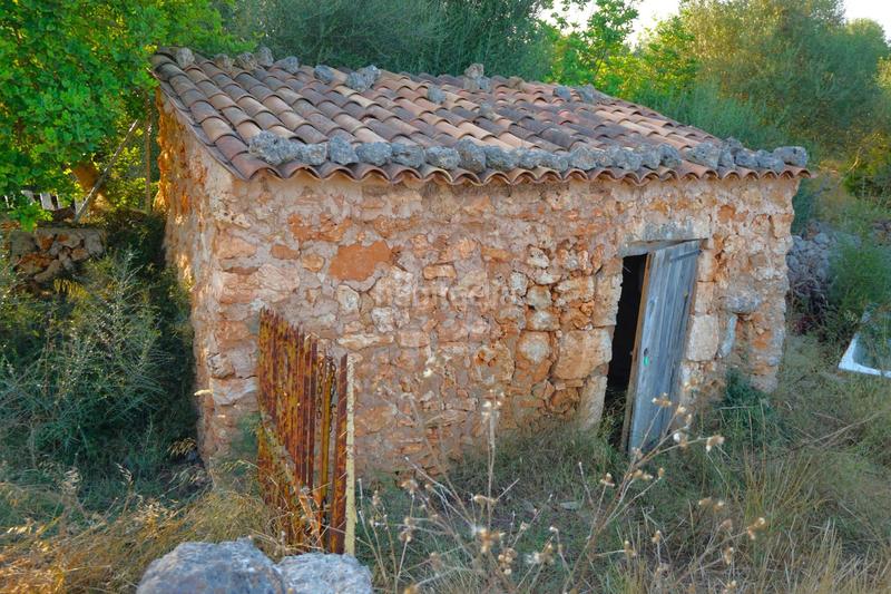 Foto 065db201-ee5a-4331-aab5-a6f97011a41c. Rural plot in Santa Margalida poble Santa Margalida