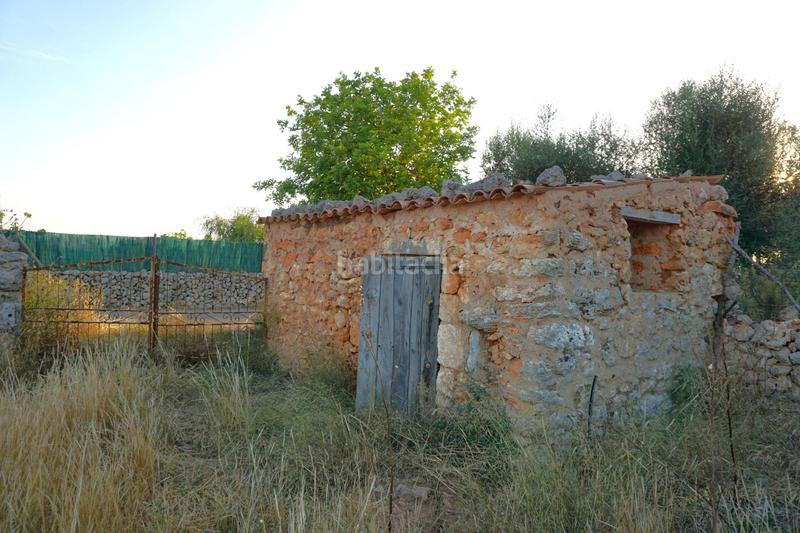 Foto 2ffb7de9-9c7b-4d8f-bae7-7fe1f6dab748. Rural plot in Santa Margalida poble Santa Margalida