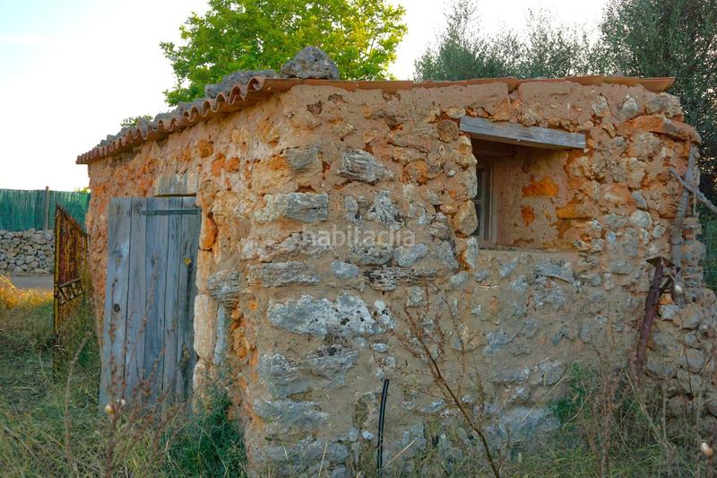 Foto 8e1dd741-a480-46e0-a540-14676f1573ab. Rural plot in Santa Margalida poble Santa Margalida