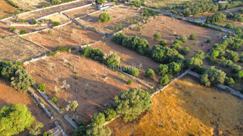 Foto b2a89381-e478-4c88-acee-08415cc5d80c. Rural plot in Santa Margalida poble Santa Margalida