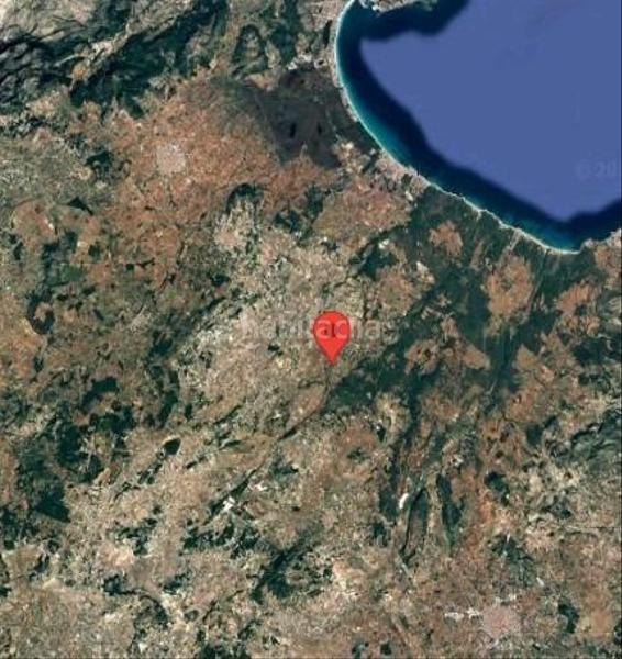 Foto bf687322-cff9-4f36-9340-fbc0d6451a65. Rural plot in Santa Margalida poble Santa Margalida