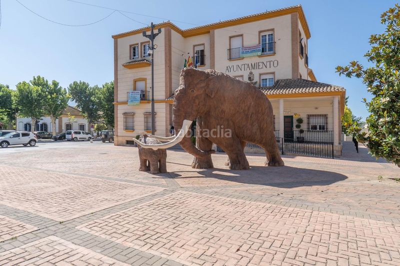 Foto 18e27344-60d3-4757-8fe9-6244c210eb29. Casa amb aparcament a Padul