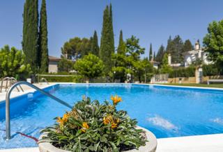 Chalet  Calle pinsapo (cub)